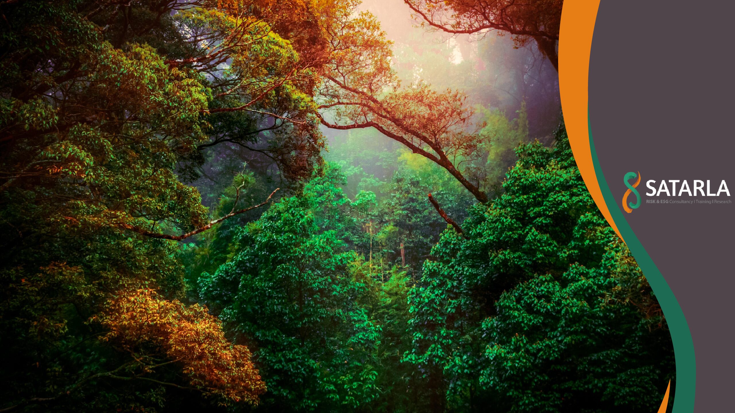 Nature-Related Risk Management (Live Online Training)